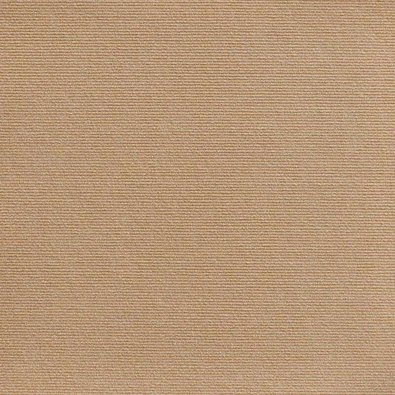 Scratching Mat For Cat Claws (1+1 Free)